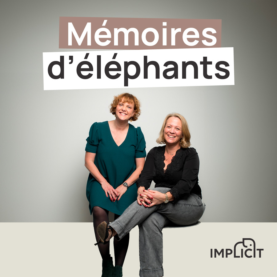 MEMOIRES_D_ELEPHANT_VIGNETTE_CHAINE_C
